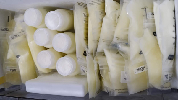Frascos de vidrio y bolsas de almacenamiento de leche materna etiquetados sobre una encimera de mármol